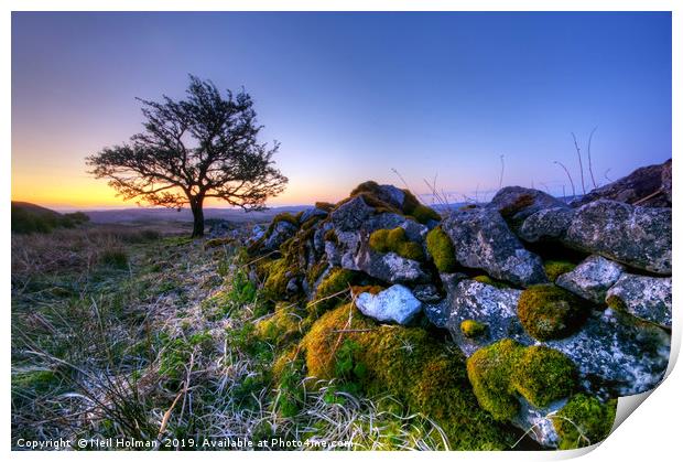 Lone Tree & Drystone Wall Sunrise, Penderyn  Print by Neil Holman