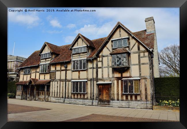 William Shakespeare's Birthplace Framed Print by Avril Harris