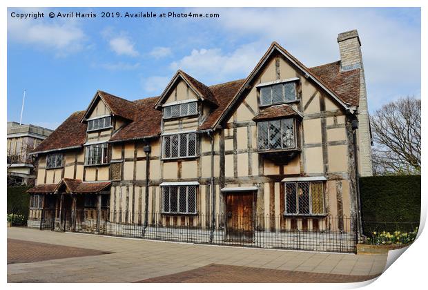 William Shakespeare's Birthplace Print by Avril Harris