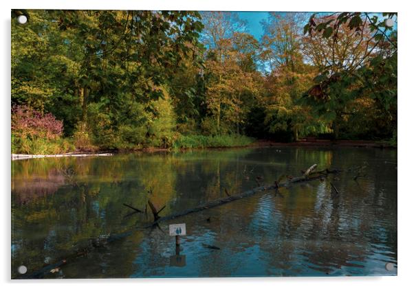 Apley Woods pond Acrylic by simon alun hark