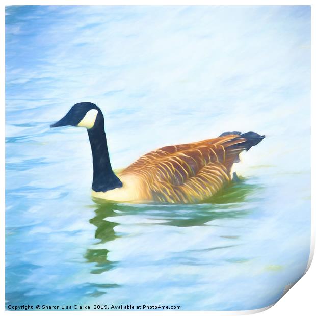 Lone Canada Goose Print by Sharon Lisa Clarke