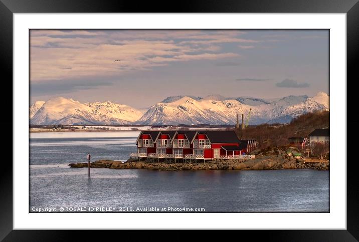"Evening light over Stokmarknes " Framed Mounted Print by ROS RIDLEY