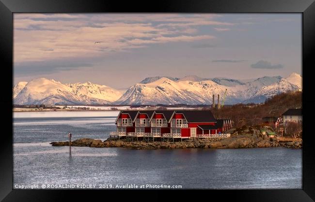 "Evening light over Stokmarknes " Framed Print by ROS RIDLEY