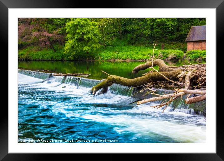 Logs on the River Wear Framed Mounted Print by Lrd Robert Barnes