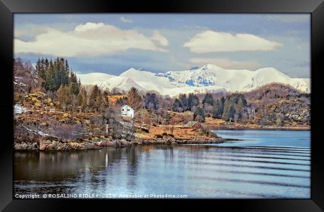 "Spring arrives in Norway" Framed Print by ROS RIDLEY