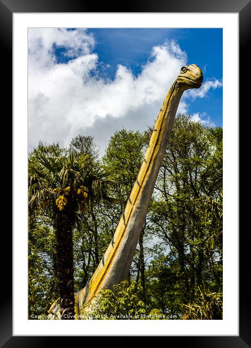 Diplodocus above the trees Framed Mounted Print by Clive Wells