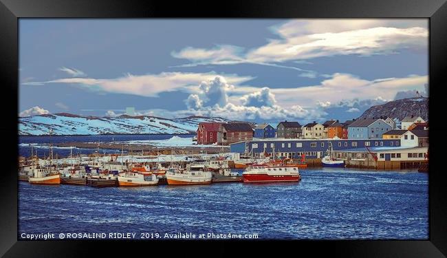 "Colourful Houses and Boats of Vardo" Framed Print by ROS RIDLEY