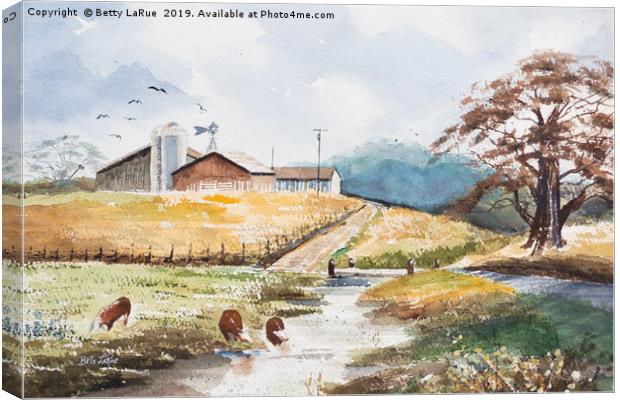 Grazing on the Farm Canvas Print by Betty LaRue
