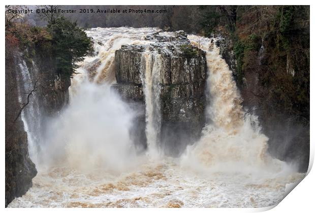 High Force in Flood  Print by David Forster