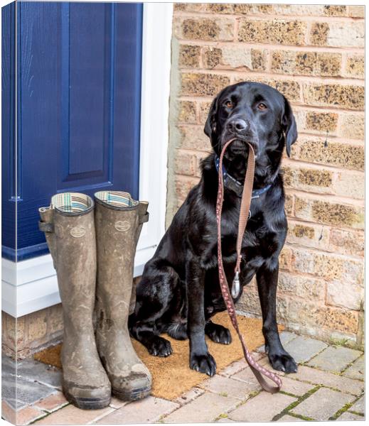 Time for "Walkies" Canvas Print by Ros Crosland