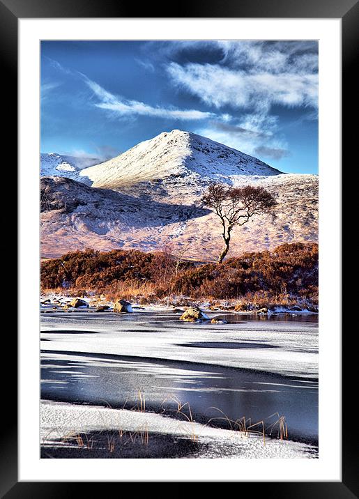 Lone Tree Framed Mounted Print by Karen Crawford