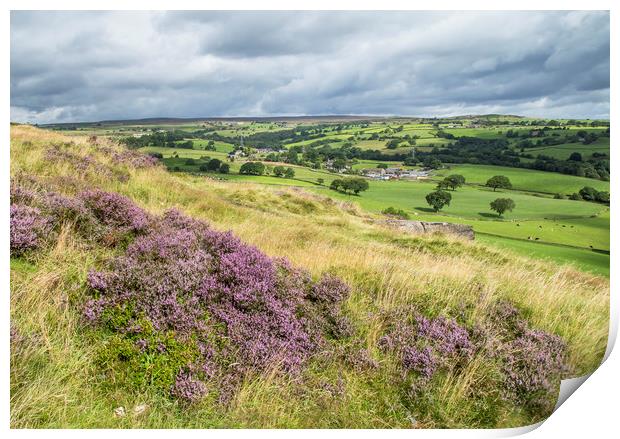 Purple heather on Baildon Moor in Yorkshire.  Print by Ros Crosland
