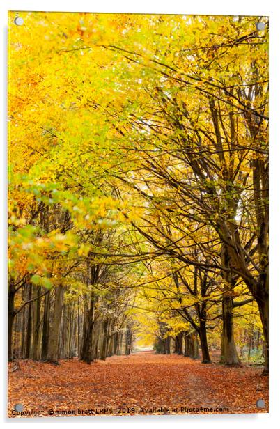Avenue of autumn trees with golden leaves Acrylic by Simon Bratt LRPS