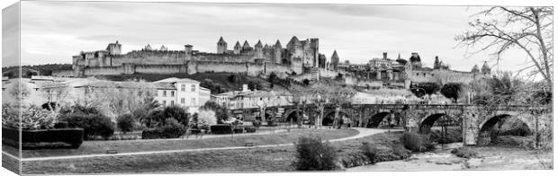The Medieval City Of Carcasonne  Canvas Print by Ray Hill