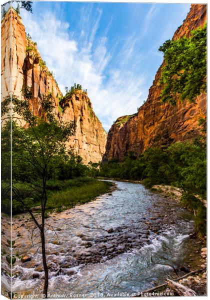 Virgin River Zion National Park Canvas Print by Anthony Rosner