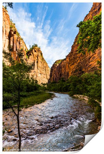 Virgin River Zion National Park Print by Anthony Rosner