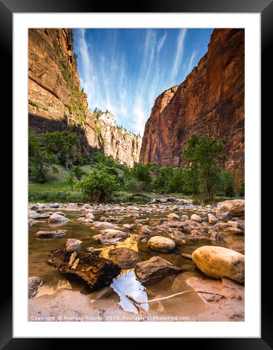 River through Zion National Park Framed Mounted Print by Anthony Rosner