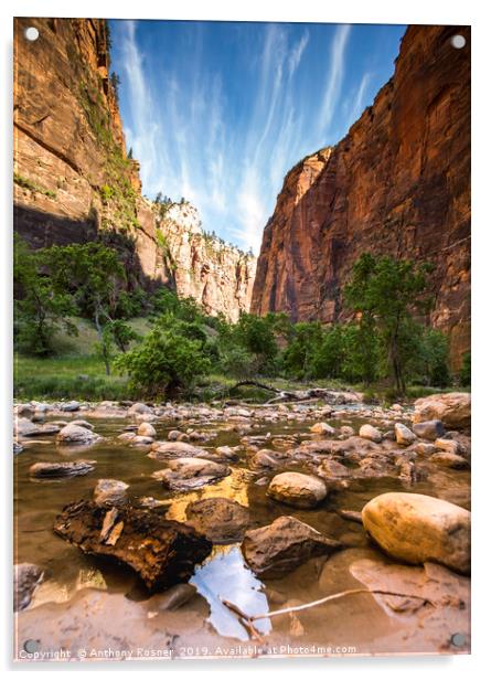 River through Zion National Park Acrylic by Anthony Rosner