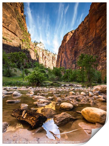 River through Zion National Park Print by Anthony Rosner