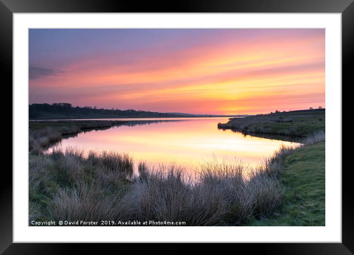 Tranquil Dawn Colours Framed Mounted Print by David Forster
