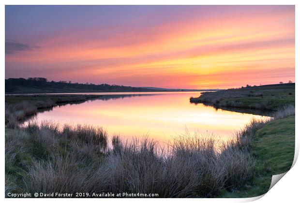 Tranquil Dawn Colours Print by David Forster