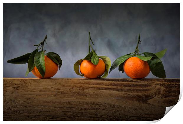 Three satsumas with leaves Print by Leighton Collins
