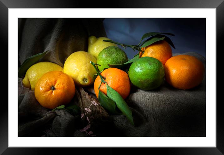 Lemons, limes and satsumas Framed Mounted Print by Leighton Collins
