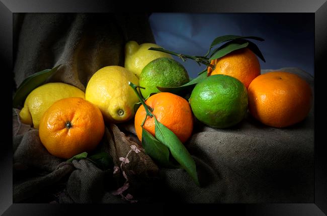 Lemons, limes and satsumas Framed Print by Leighton Collins