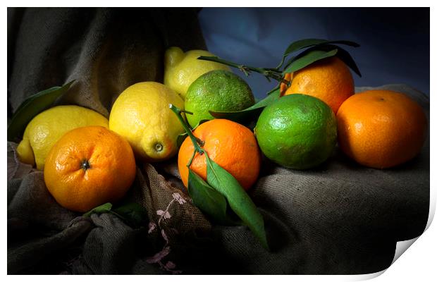 Lemons, limes and satsumas Print by Leighton Collins