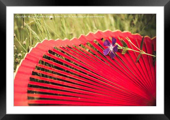 Red spanish fan and vinca major flower Framed Mounted Print by Juan Ramón Ramos Rivero