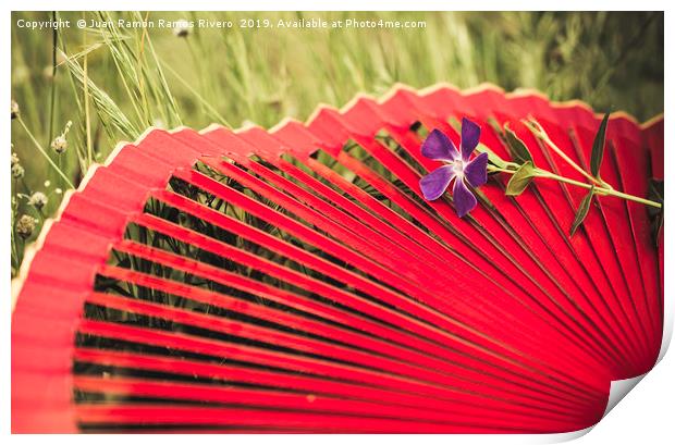 Red spanish fan and vinca major flower Print by Juan Ramón Ramos Rivero