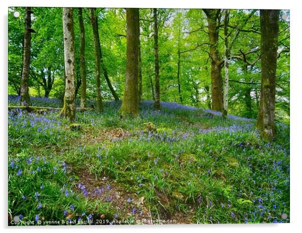 Bluebell Woods near Ambleside  Acrylic by yvonne & paul carroll