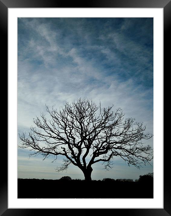 big sky, small tree Framed Mounted Print by Heather Newton