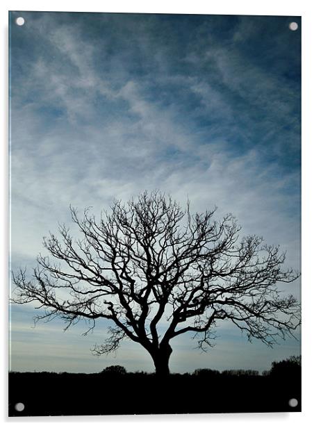 big sky, small tree Acrylic by Heather Newton