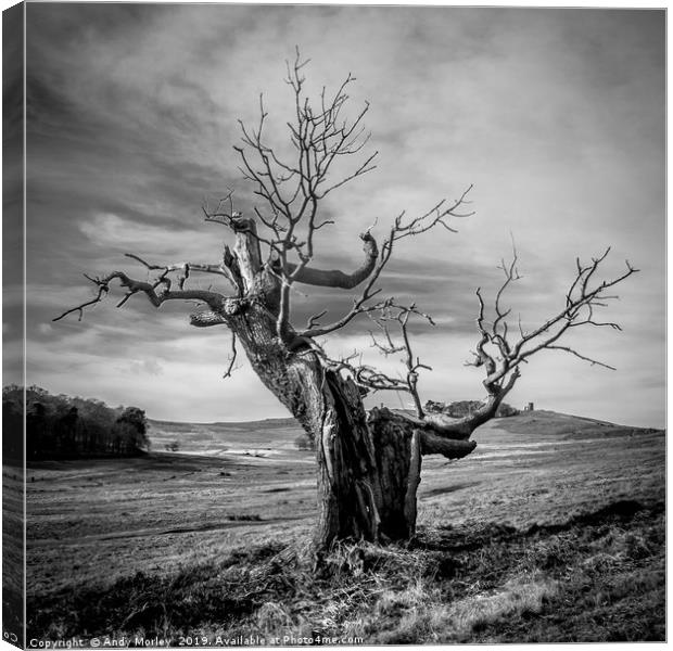 Mood Tree Canvas Print by Andy Morley