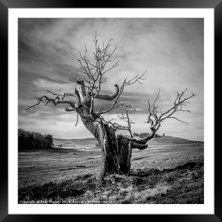 Mood Tree Framed Mounted Print by Andy Morley