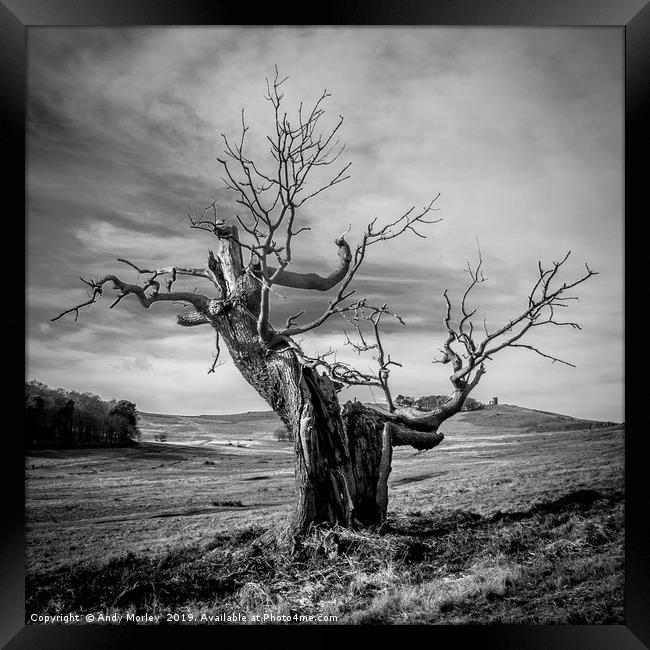 Mood Tree Framed Print by Andy Morley