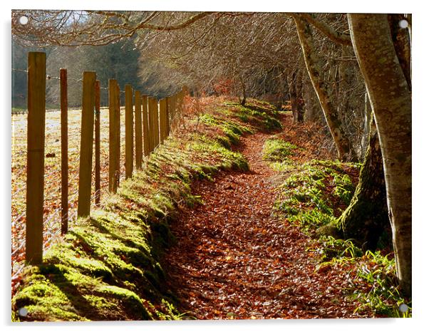 Carpet of Leaves Acrylic by Mark Malaczynski