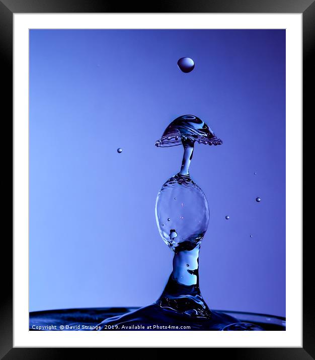 Double Bubble Waterdrop Framed Mounted Print by David Strange