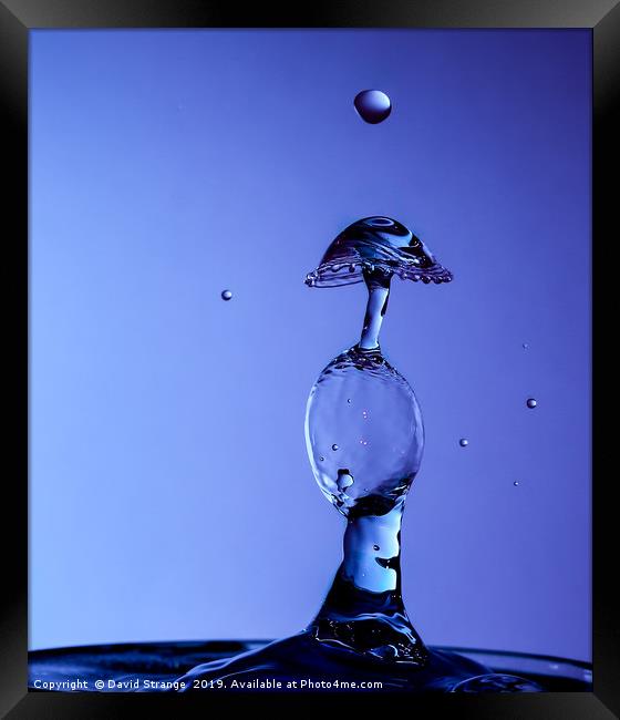 Double Bubble Waterdrop Framed Print by David Strange