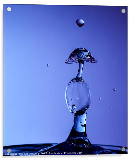 Double Bubble Waterdrop Acrylic by David Strange