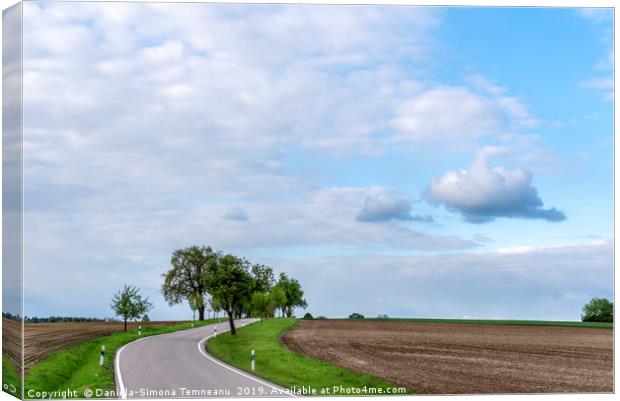 Countryside road under the blue sky  Canvas Print by Daniela Simona Temneanu