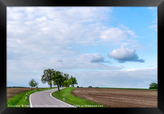 Countryside road under the blue sky  Framed Print by Daniela Simona Temneanu
