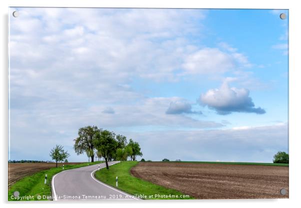 Countryside road under the blue sky  Acrylic by Daniela Simona Temneanu