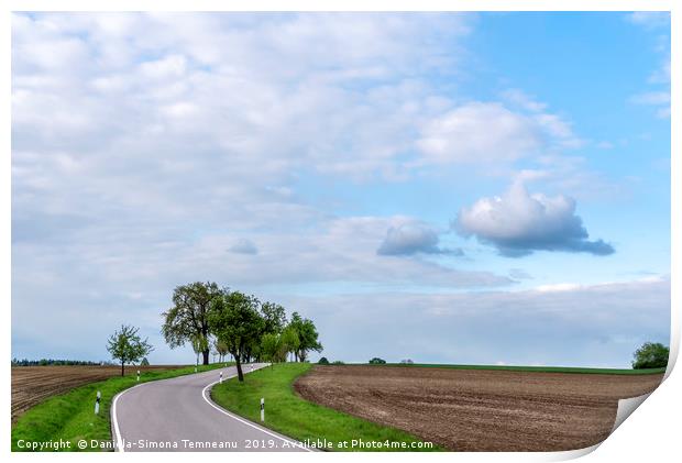 Countryside road under the blue sky  Print by Daniela Simona Temneanu