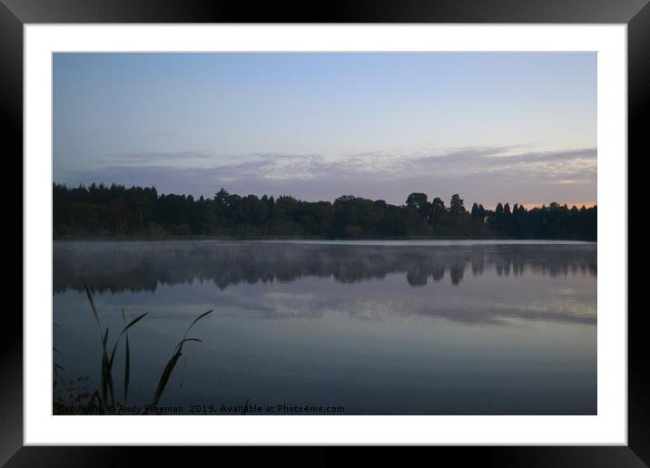 Summer Estate Lake Morning  Framed Mounted Print by Andy Freeman