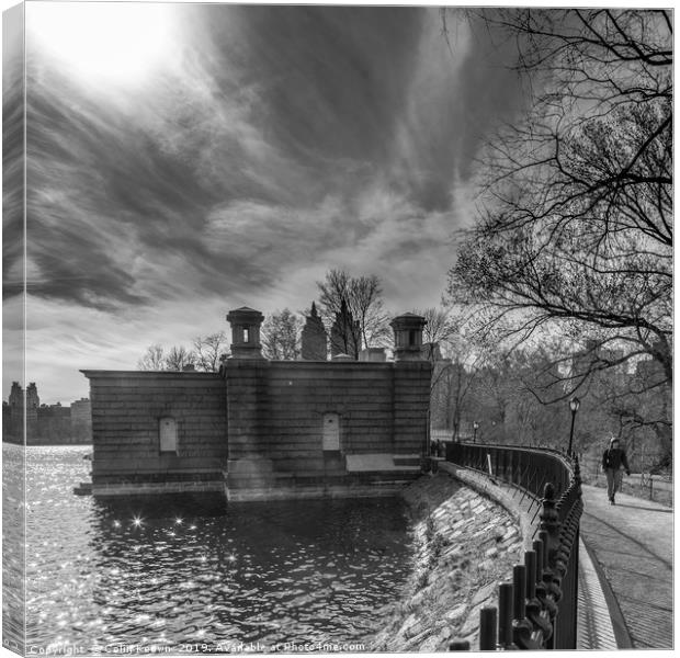 Central Park Canvas Print by Colin Keown