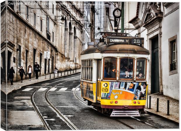 No 28 Tram in Lisbon Canvas Print by Colin & Linda McKie