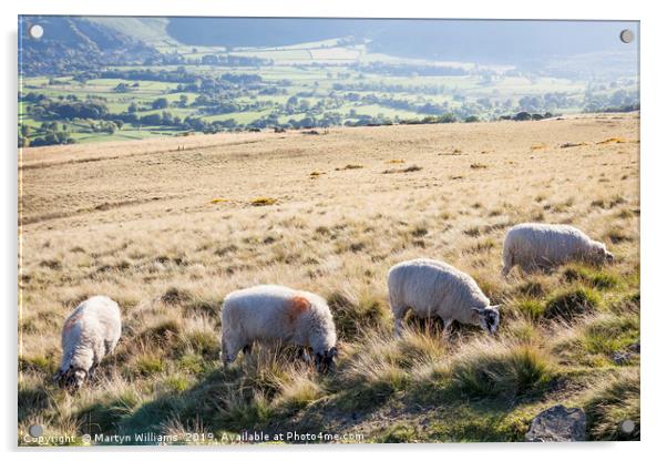 Sheep, Lose Hill, Derbyshire, UK  Acrylic by Martyn Williams