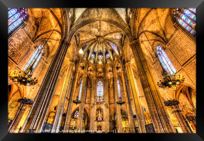 Barcelona Cathedral Framed Print by David Pyatt